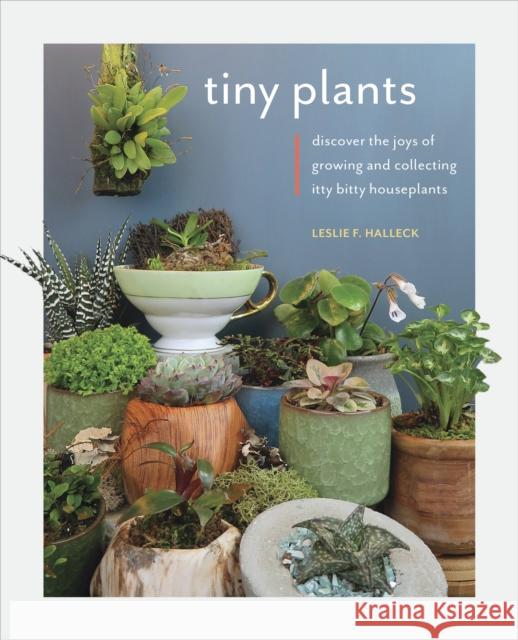 Tiny Plants: Discover the joys of growing and collecting itty-bitty houseplants Leslie F. Halleck 9780760369579 Quarto Publishing Group USA Inc - książka