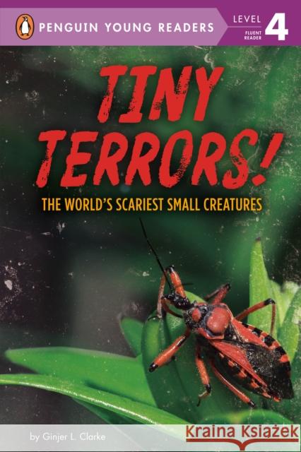 Tiny Terrors!: The World's Scariest Small Creatures Ginjer L. Clarke 9780593383964 Penguin Young Readers Group - książka