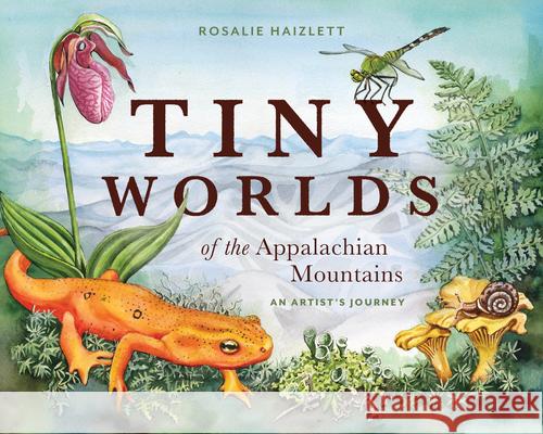 Tiny Worlds of the Appalchian Mountains: An Artist's Journey Rosalie Haizlett 9781680516357 Mountaineers Books - książka