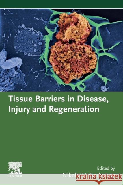 Tissue Barriers in Disease, Injury and Regeneration Nikolai V. Gorbunov 9780128185612 Elsevier - książka