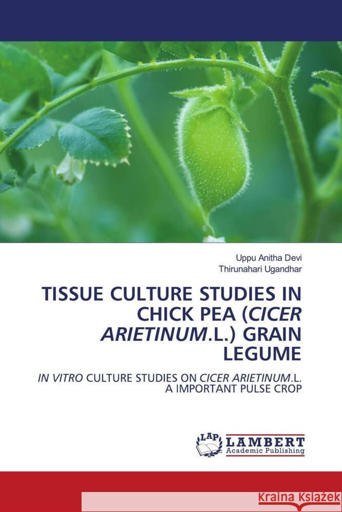 TISSUE CULTURE STUDIES IN CHICK PEA (CICER ARIETINUM.L.) GRAIN LEGUME Anitha Devi, Uppu, Ugandhar, Thirunahari 9786206146179 LAP Lambert Academic Publishing - książka