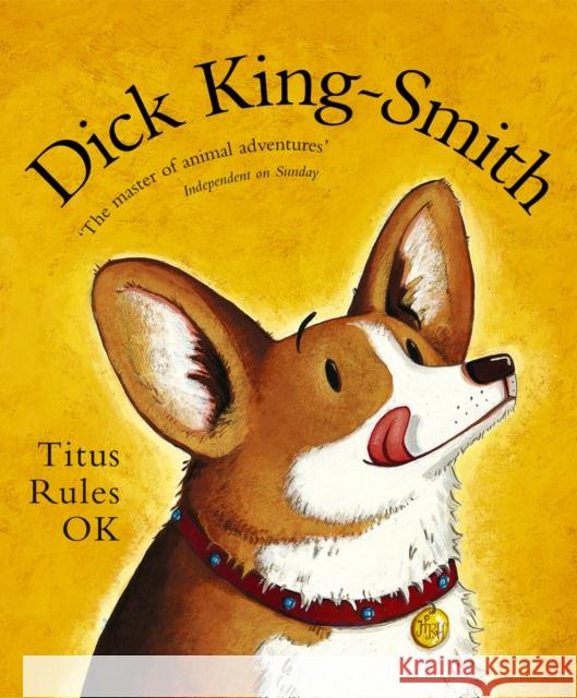 Titus Rules OK Dick King-Smith 9780552554312 Penguin Random House Children's UK - książka