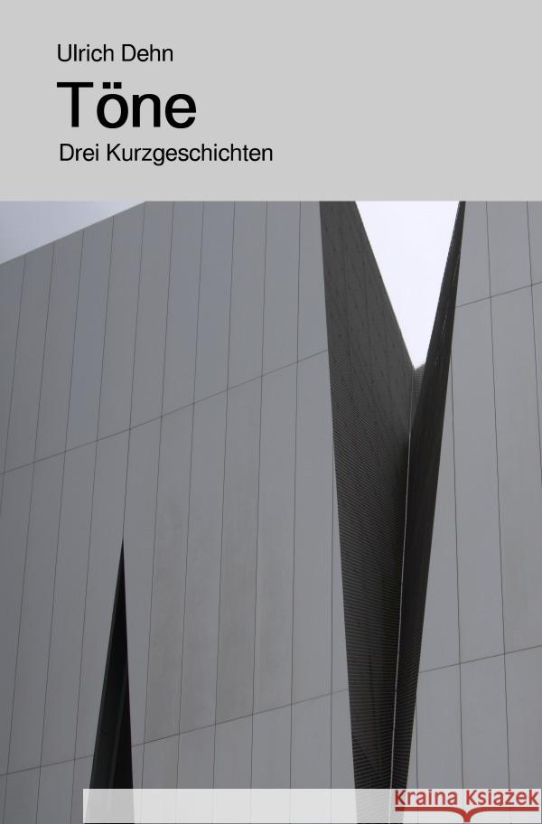 Töne Dehn, Ulrich 9783759861948 epubli - książka
