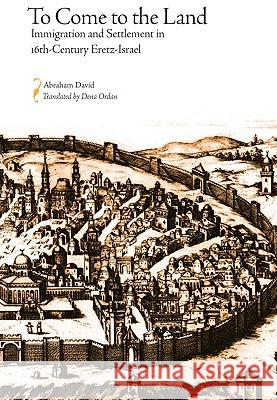 To Come to the Land: Immigration and Settlement in 16th-Century Eretz-Israel David, Abraham 9780817356439 University Alabama Press - książka
