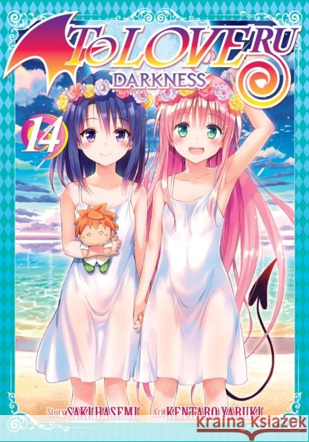 To Love Ru Darkness Vol. 14 Hasemi, Saki 9781947804432 Ghost Ship - książka