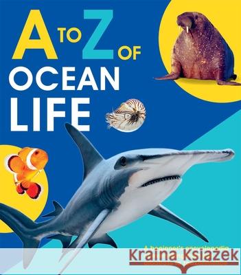 To Z of Ocean Life Editors of Quarto Books 9781645172864 Silver Dolphin Books - książka