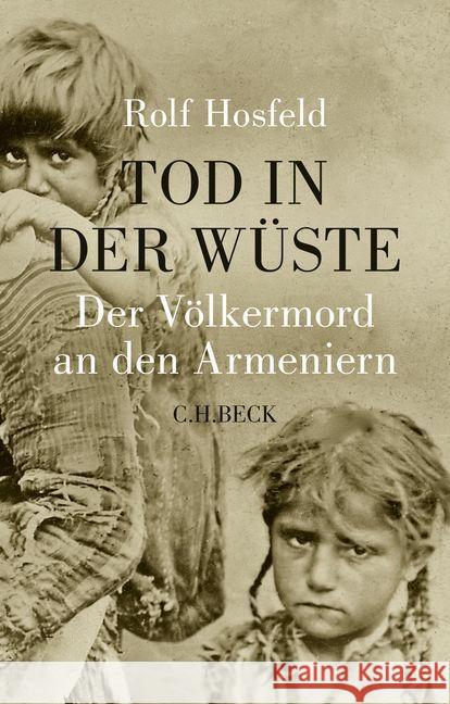 Tod in der Wüste : Der Völkermord an den Armeniern Hosfeld, Rolf 9783406674518 Beck - książka