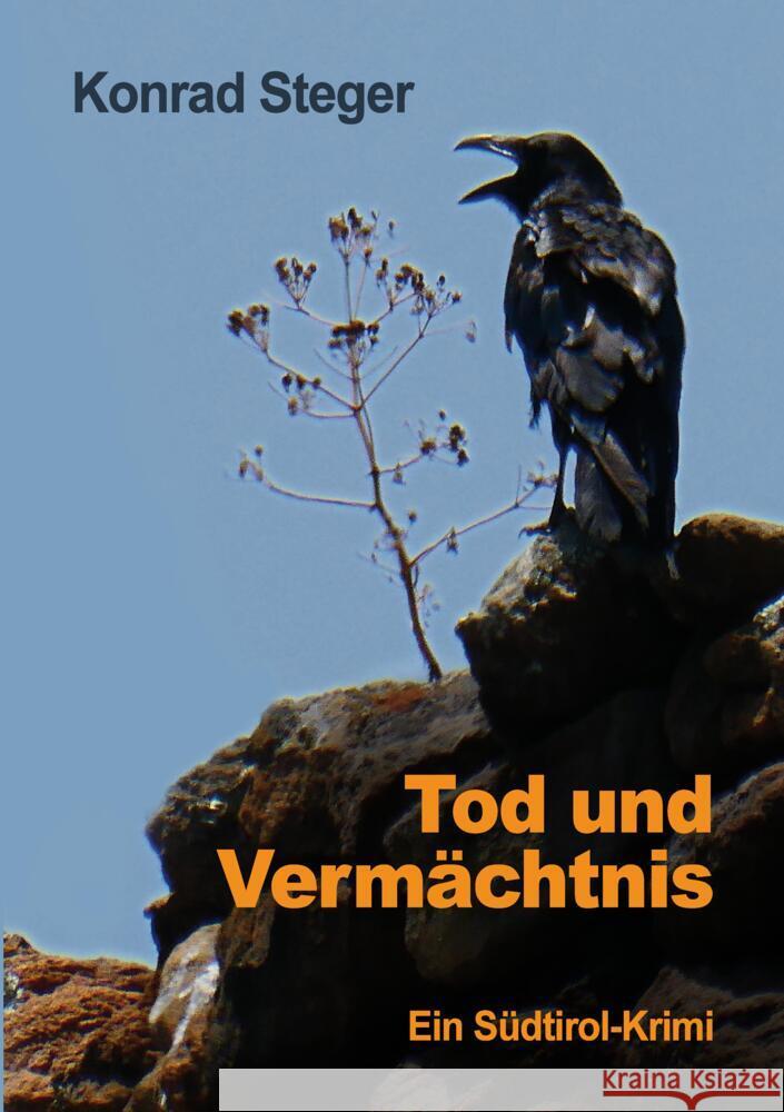 Tod und Vermächtnis Steger, Konrad 9783347999220 tredition - książka