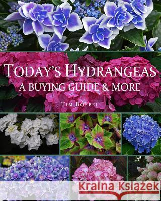 Today's Hydrangeas: A Buying Guide & More Tim Boebel 9781983635601 Createspace Independent Publishing Platform - książka