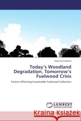 Today's Woodland Degradation, Tomorrow's Fuelwood Crisis Aabeyir, Raymond 9783844398144 Dictus Publishing - książka