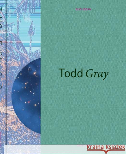 Todd Gray: Euclidean Gris Gris Todd Gray Rebecca McGrew Rebecca McGrew 9780997930603 Pomona College Museum of Art - książka