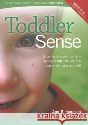 Toddler Sense Richardson, Ann 9781920479183  - książka