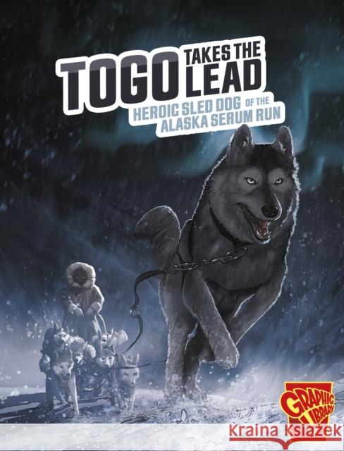 Togo Takes the Lead: Heroic Sled Dog of the Alaska Serum Run Bruce Berglund 9781398251595 Capstone Global Library Ltd - książka