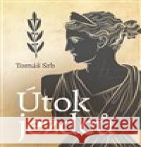 Útok jezdců Tomáš Srb 9788075685452 powerprint - książka