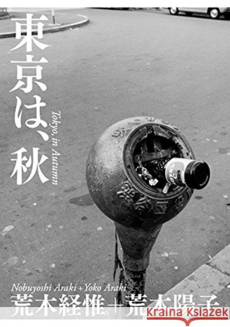 TOKYO IN AUTUMN  NOBUYOSHI ARAKI 9784865030365  - książka