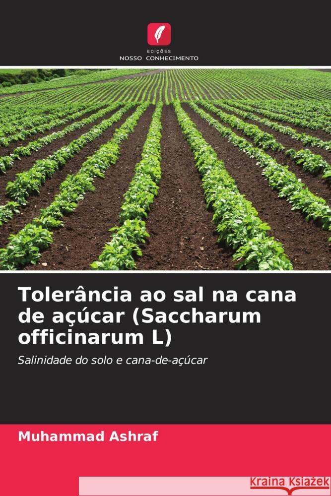 Tolerância ao sal na cana de açúcar (Saccharum officinarum L) Ashraf, Muhammad 9786203297416 Edições Nosso Conhecimento - książka