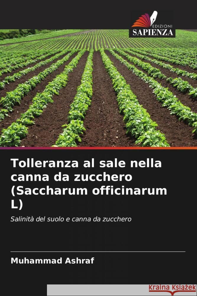 Tolleranza al sale nella canna da zucchero (Saccharum officinarum L) Ashraf, Muhammad 9786203297447 Edizioni Sapienza - książka