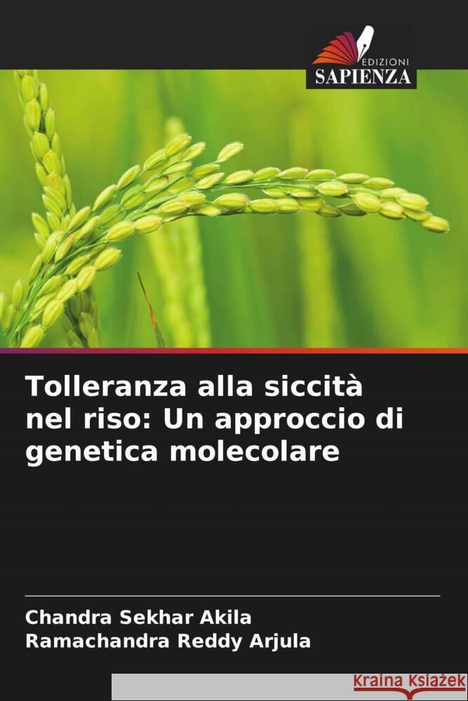 Tolleranza alla siccità nel riso: Un approccio di genetica molecolare Akila, Chandra Sekhar, Arjula, Ramachandra Reddy 9786208390693 Edizioni Sapienza - książka