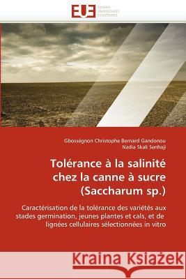 Tolérance À La Salinité Chez La Canne À Sucre (Saccharum Sp.) Collectif 9786131587580 Editions Universitaires Europeennes - książka