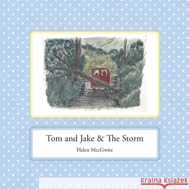 Tom and Jake & the Storm Helen MccGwire 9780992646486 Leaping Boy Publications - książka