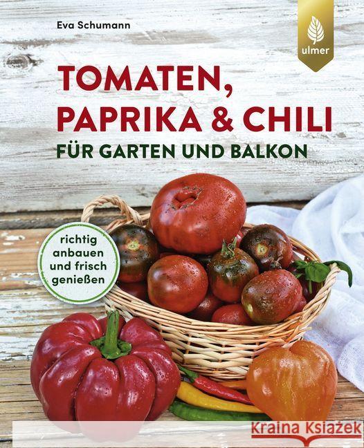 Tomaten, Paprika & Chili für Garten und Balkon : Richtig anbauen und frisch genießen Schumann, Eva 9783818610470 Verlag Eugen Ulmer - książka