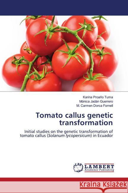 Tomato callus genetic transformation Proaño Tuma, Karina, Jadán Guerrero, Mónica, Dorca Fornell, M. Carmen 9786202679695 LAP Lambert Academic Publishing - książka