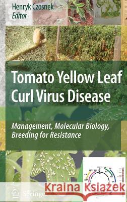 Tomato Yellow Leaf Curl Virus Disease: Management, Molecular Biology, Breeding for Resistance Czosnek, Henryk 9781402047688 Springer - książka