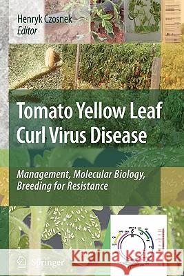 Tomato Yellow Leaf Curl Virus Disease: Management, Molecular Biology, Breeding for Resistance Czosnek, Henryk 9789048171903 Springer - książka