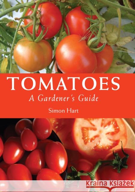 Tomatoes: A Gardener's Guide Simon Hart 9781847971999 The Crowood Press Ltd - książka