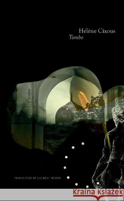 Tomb(e) Helene Cixous Laurent Milesi 9780857420251 Seagull Books - książka
