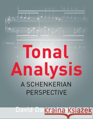 Tonal Analysis: A Schenkerian Perspective Damschroder, David 9780393283792 W. W. Norton & Company - książka