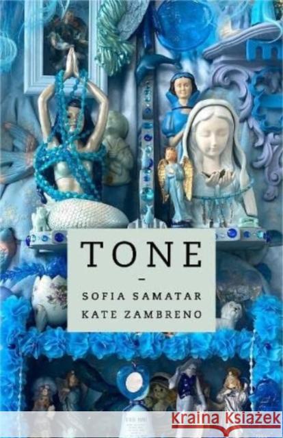 Tone Kate Zambreno 9780231211215 Columbia University Press - książka