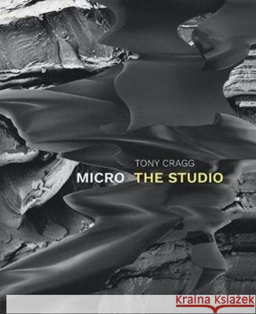 Tony Cragg: Micro: The Studio Cragg, Tony 9783960985815 Verlag der Buchhandlung König - książka