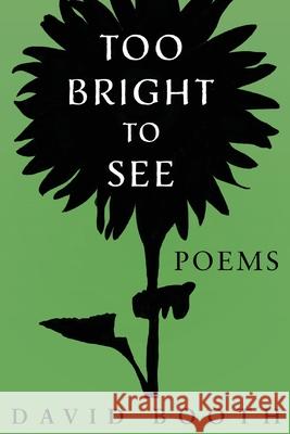 Too Bright to See David Booth 9781734114263 Simi Press - książka