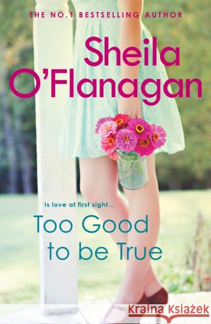 Too Good To Be True: A feel-good read of romance and adventure Sheila O'Flanagan 9780755329946  - książka