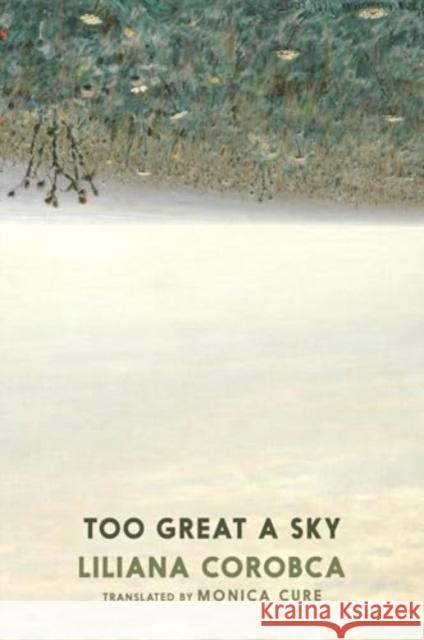 Too Great A Sky Liliana Corobca 9781911710134 Seven Stories Press UK - książka