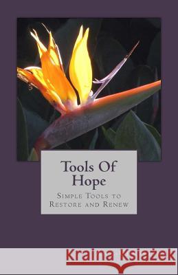 Tools Of Hope: Restore And Renew Your Hope Christina, Ana- 9781503222618 Createspace - książka