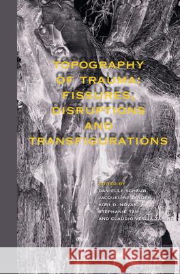 Topography of Trauma: Fissures, Disruptions and Transfigurations Danielle Schaub Jacqueline Linder Kori Novak 9789004405431 Brill/Rodopi - książka