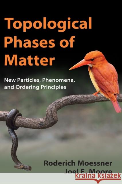 Topological Phases of Matter Joel E. (University of California, Berkeley) Moore 9781107105539 Cambridge University Press - książka