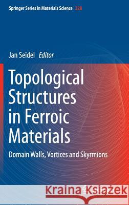 Topological Structures in Ferroic Materials: Domain Walls, Vortices and Skyrmions Seidel, Jan 9783319252995 Springer - książka