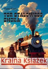 Tor Stalowego Smoka Zane Grey 9788375659221 LTW - książka