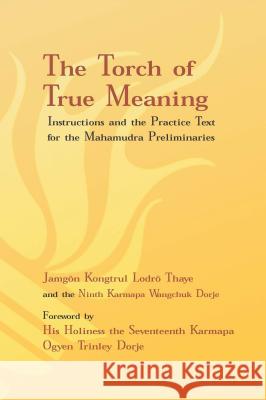 Torch of True Meaning: Instructions and the Practice for the Mahamudra Preliminaries Jamgon Kongtrul Lodro Thaye, Ninth Karmapa Wangchuk Dorje, Wangchuk Dorje, 17th Karmapa Ogyen Trinley Dorje 9781934608524 KTD Publications - książka