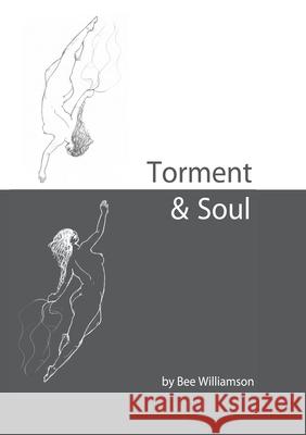 Torment & Soul Bee Williamson 9780646962016 Bookpod - książka