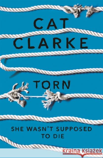 Torn Cat Clarke 9780857382054 Hachette Children's Group - książka