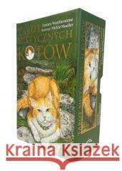 Torot mistycznych kotów Lunaea Weatherstone, Mickie Mueller 9788073706371 Synergie Polska - książka