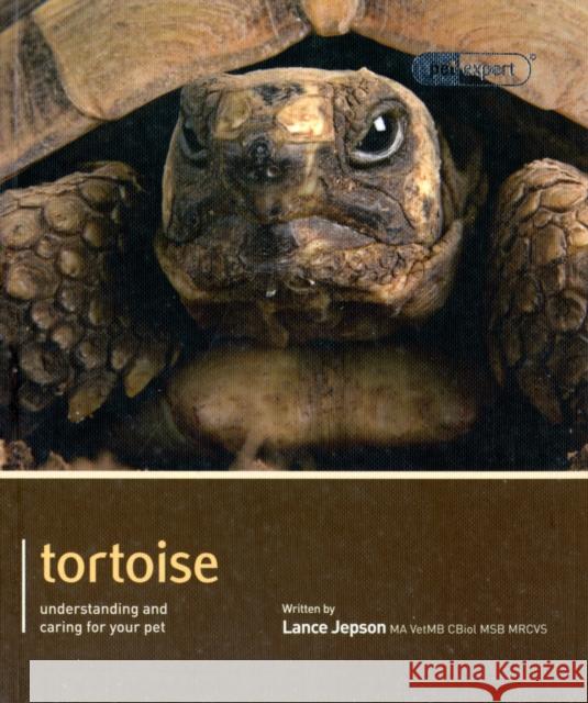 Tortoise - Pet Expert: Understanding and Caring for Your Pet Jepson, Lance 9781907337147 Magnet & Steel Publishing Ltd - książka