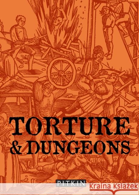 Torture & Dungeons John McIlwain 9780853729143 Batsford - książka