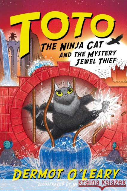 Toto the Ninja Cat and the Mystery Jewel Thief: Book 4 Dermot Oâ€™Leary 9781444952049 Hachette Children's Group - książka