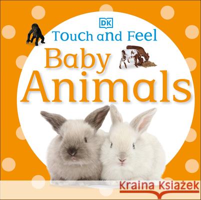 Touch and Feel Baby Animals DK 9780756689919 DK Publishing (Dorling Kindersley) - książka