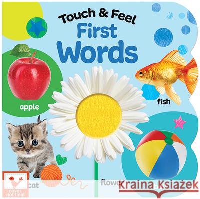 Touch and Feel First Words Cottage Door Press 9781646386482 Cottage Door Press - książka